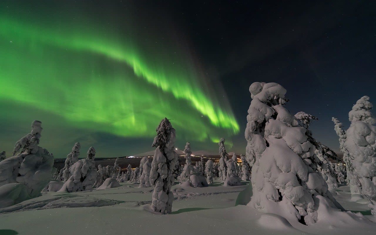 Polarlichter über verschneiten Bäumen